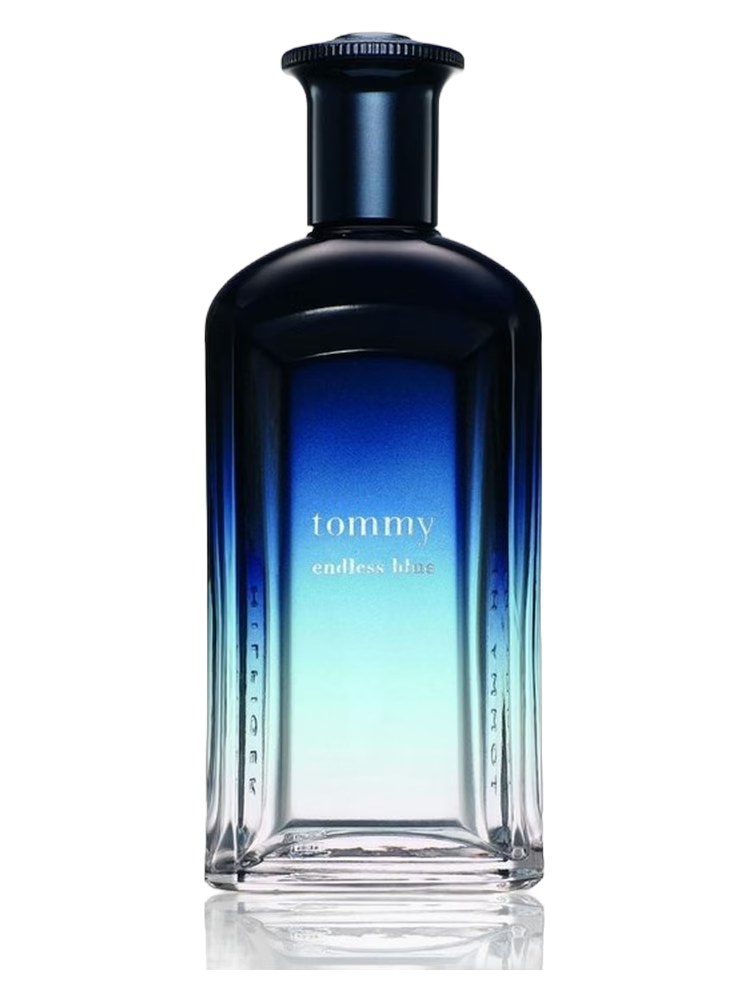TOMMY HILFIGER ENDLESS BLUE MEN