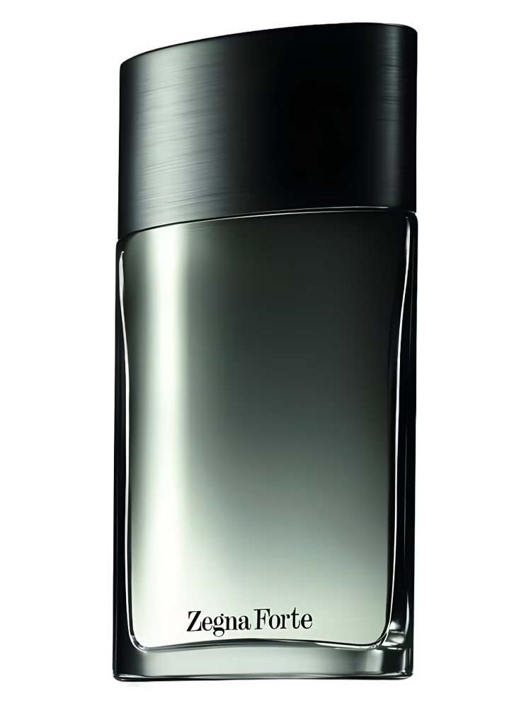 ERMENEGILDO ZEGNA ZEGNA FORTE MEN