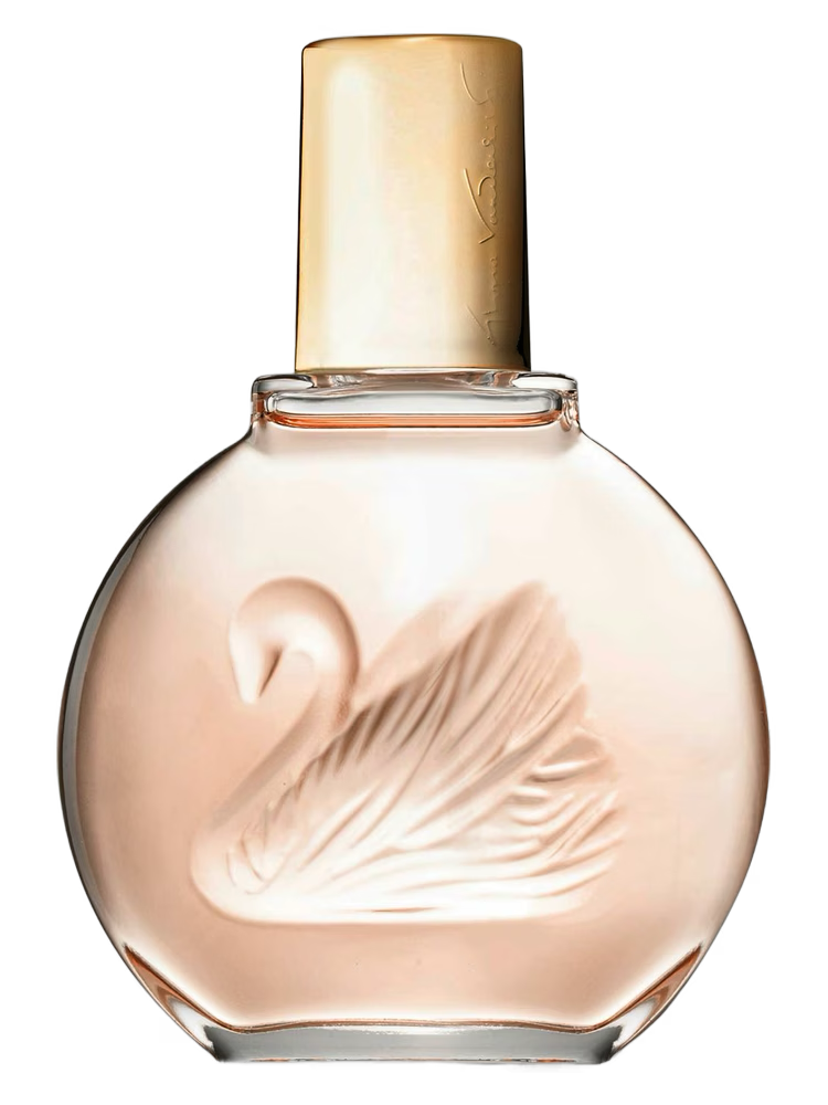 GLORIA VANDERBILT MISS VANDERBILT FOR WOMEN