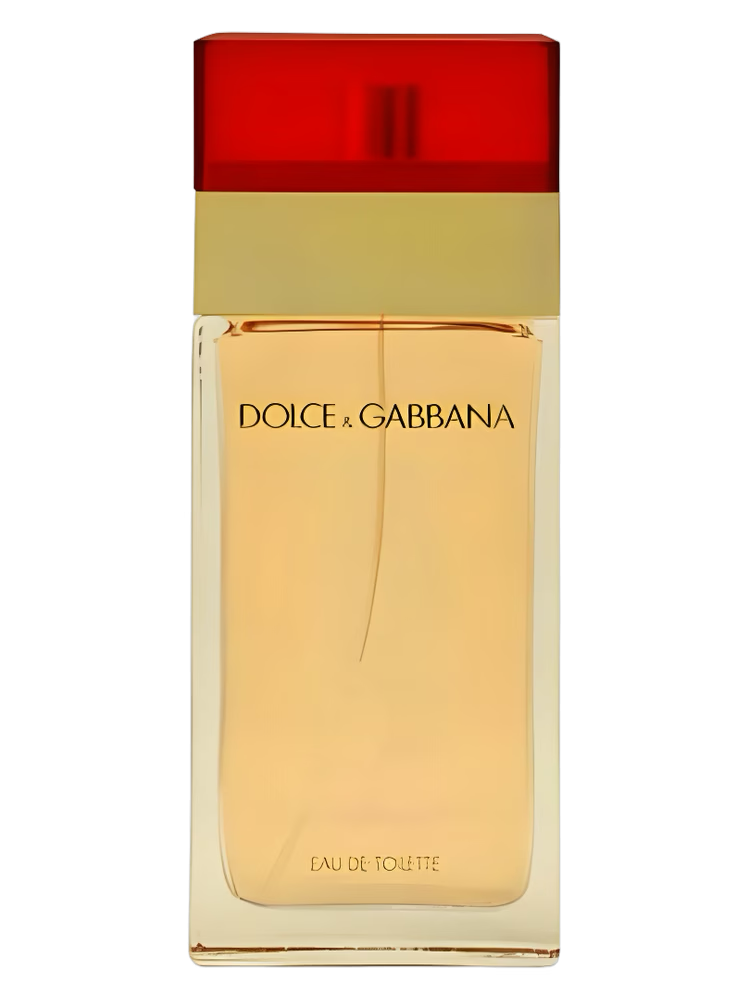 DOLCE & GABBANA WOMEN