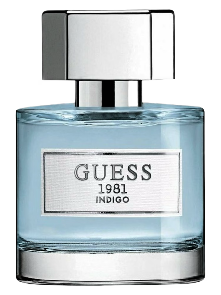 GUESS 1981 INDIGO WOMEN