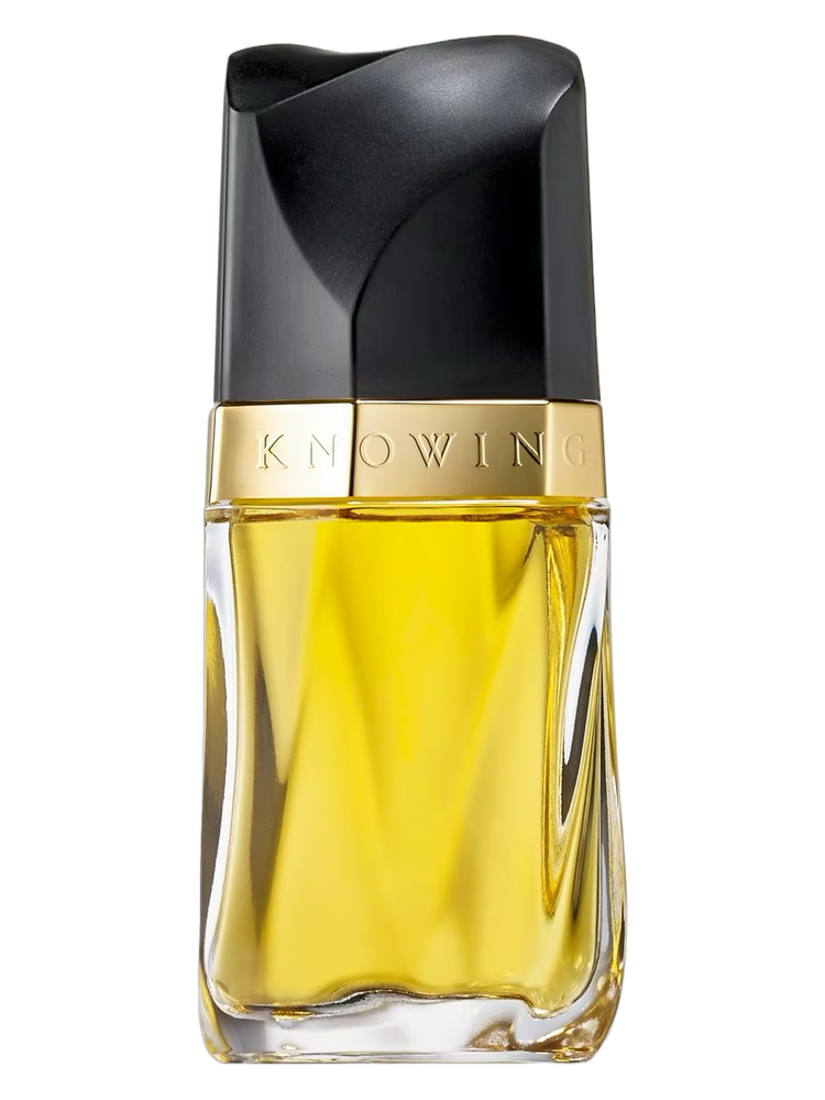 ESTEE LAUDER KNOWING WOMEN